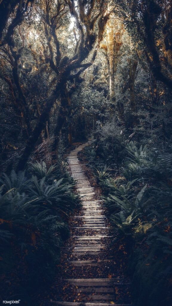fond decran pathway hd