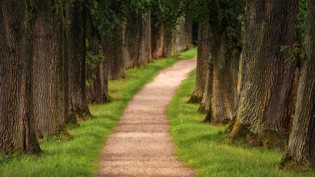fonds d'écran pathway pc