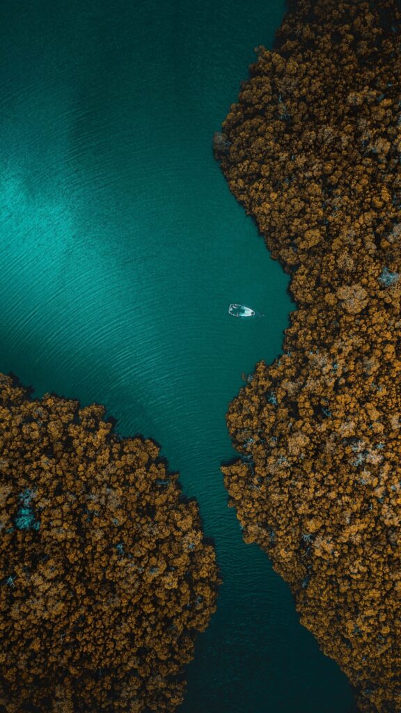 fonds d'écran sea iphone