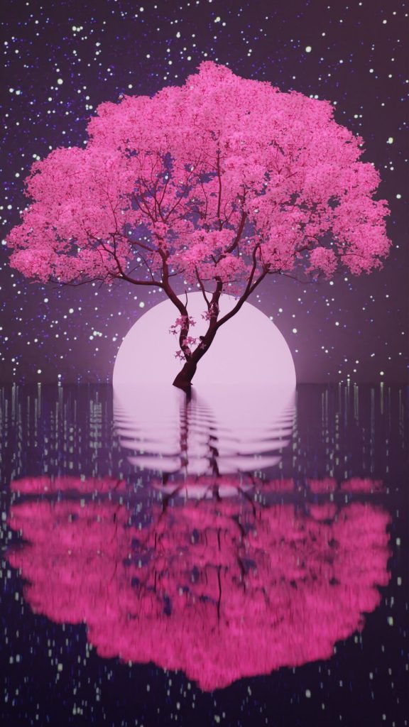Cherry Blossoms iPhone Wallpaper