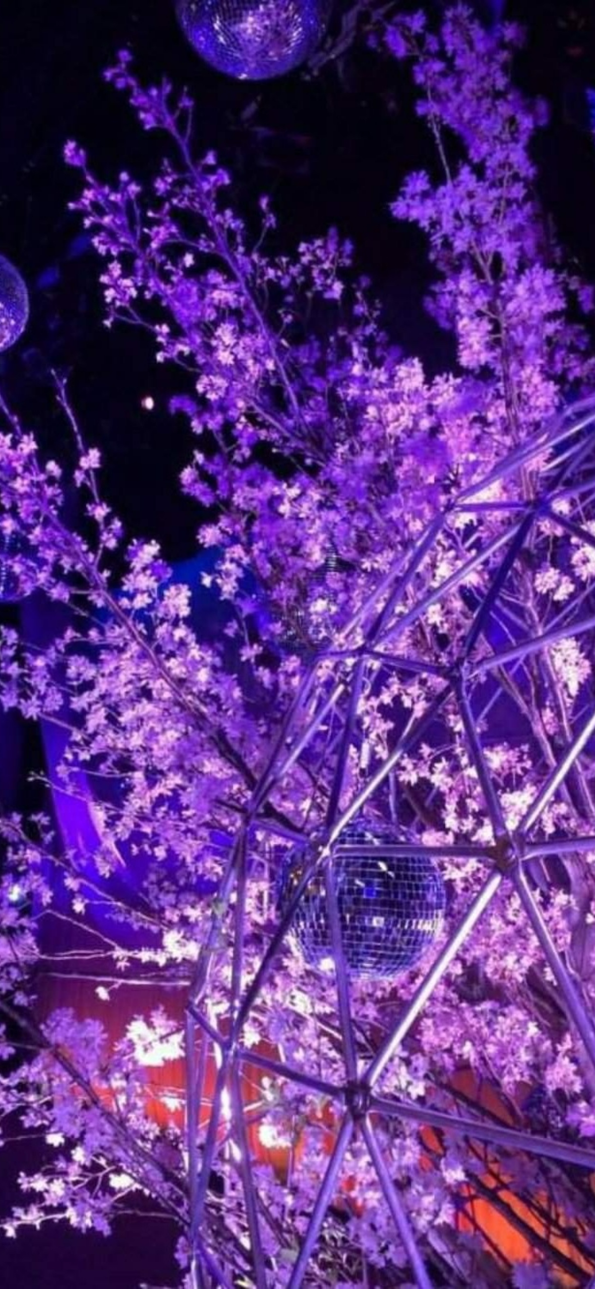 iPhone Wallpaper Pastel Purple