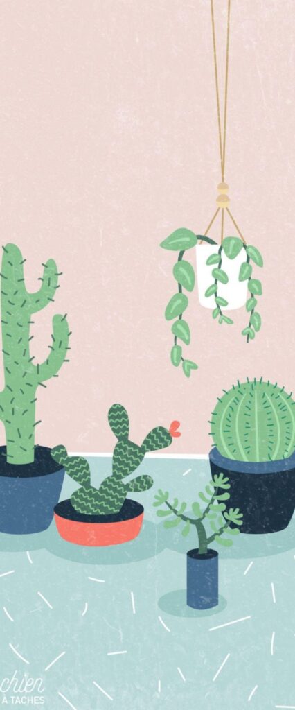 Cactus Wallpaper For iPhone 14 Pro