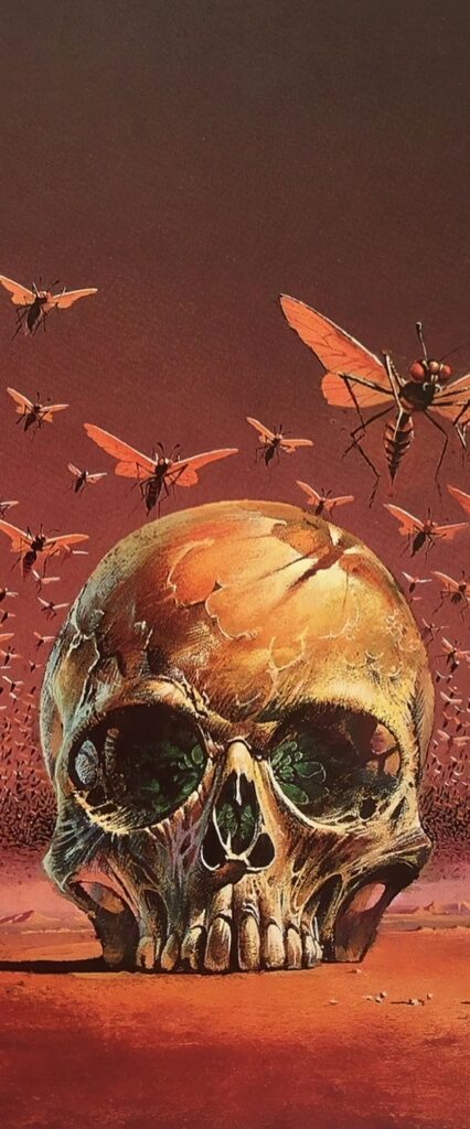 iPhone Wallpaper Cool Skull