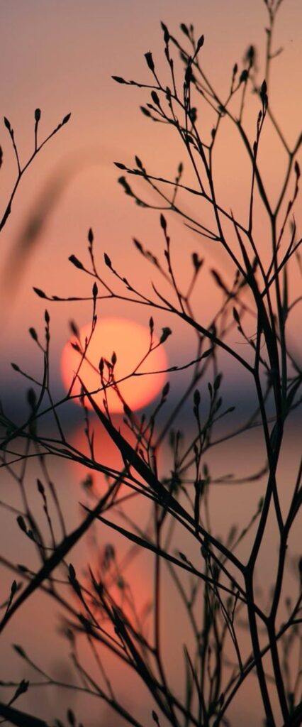 Dusk Best iPhone Wallpaper