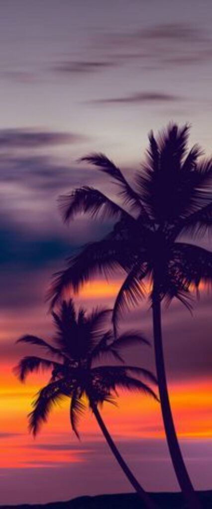 Dusk Wallpaper For iPhone 11