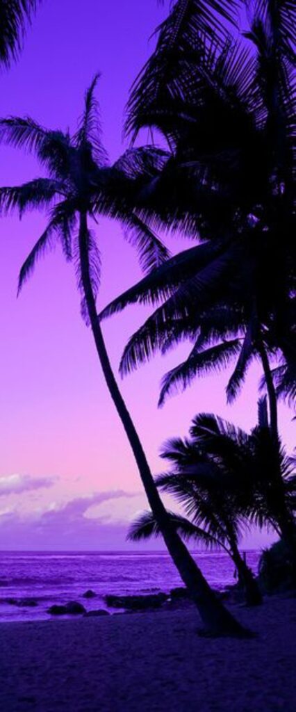 Dusk iPhone Home Screen Wallpaper