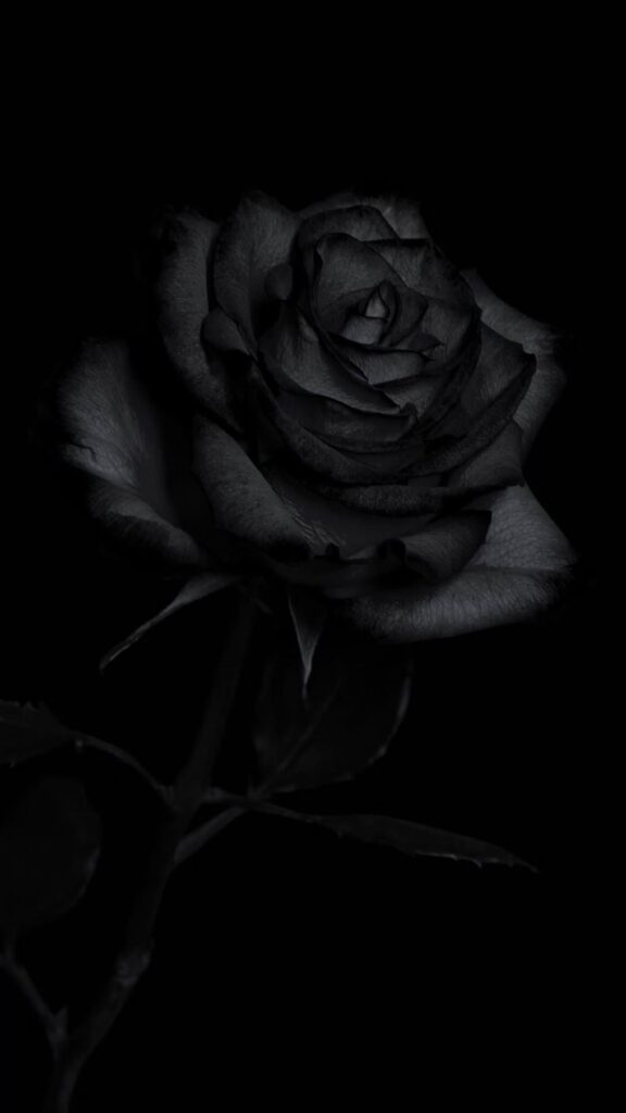 Black iPhone Wallpapers