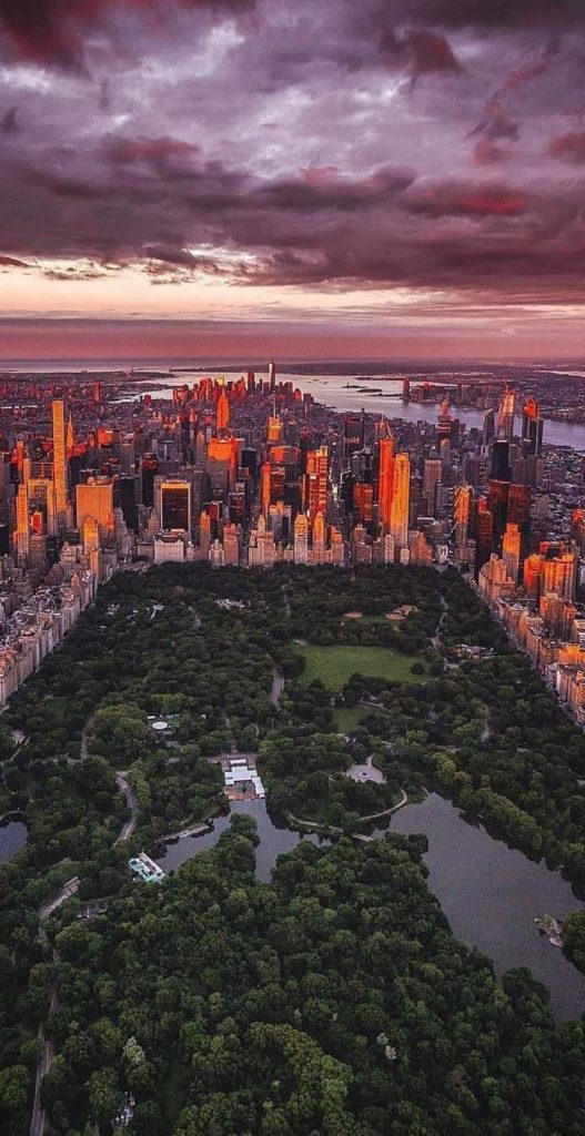 Central Park Wallpaper