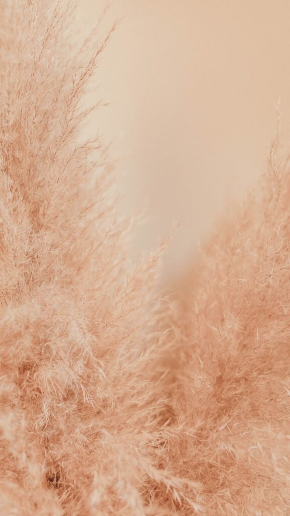 Beige Wallpaper