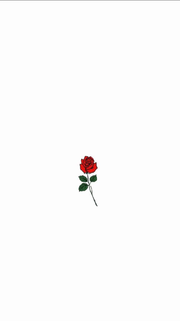 White Screen Wallpaper