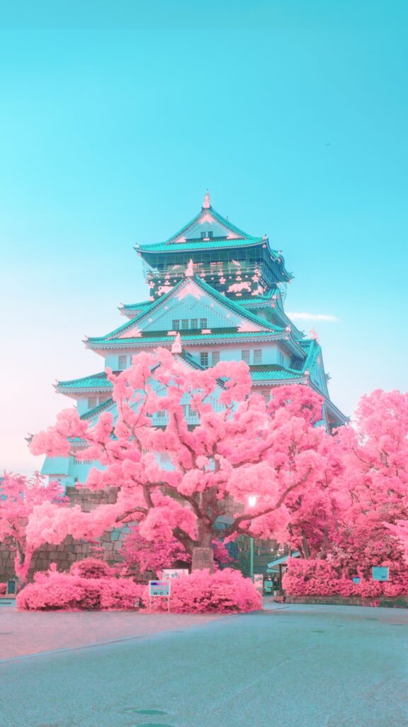 Osaka Castle Wallpaper