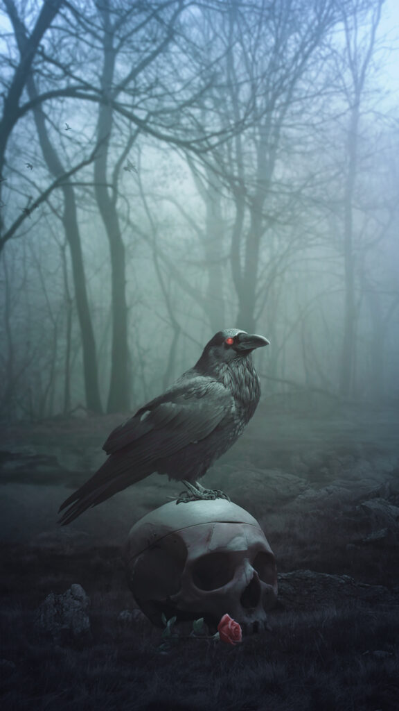 Raven HD Wallpaper