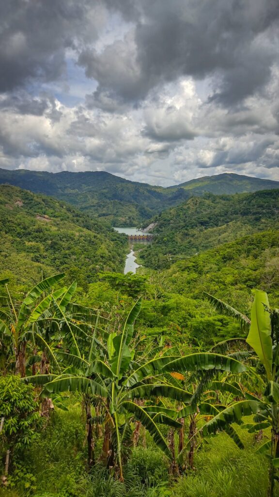 Wallpaper Of The Amazon Forest