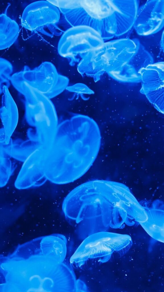 Bioluminescence Wallpaper