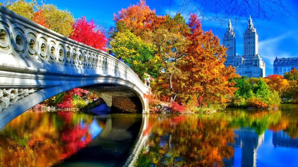 Central Park 4k Wallpaper
