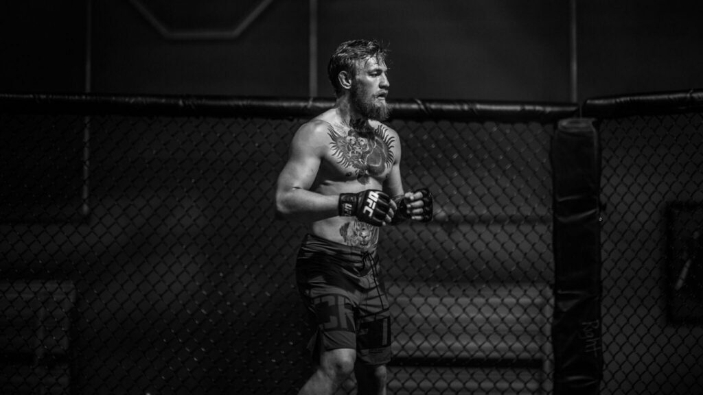 Conor Mcgregor 4k Wallpaper