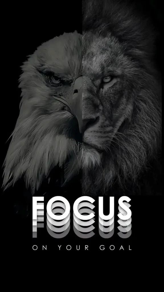 focus wallpapers